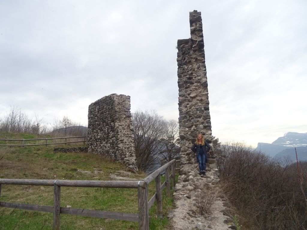 Castelli,Torri e Palazzi.....del Trentino